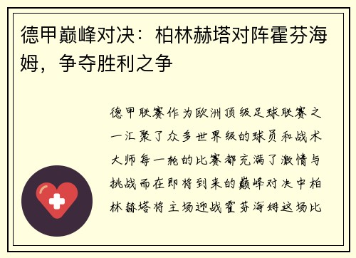德甲巅峰对决：柏林赫塔对阵霍芬海姆，争夺胜利之争